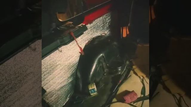 Обшивка и шумка нивы смотреть онлайн