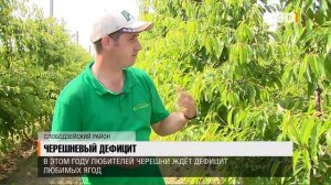 Черешневый дефицит