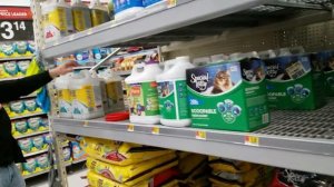 Неожиданный СЮРПРИЗ Для Софии. Покупаем КОТЕНКА. Первые Покупки Для Нашей КОШЕЧКИ МИЛИ