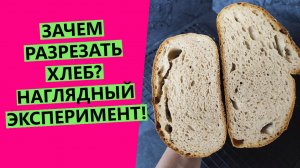 Зачем? разрезать хлеб перед выпечкой? Наглядный эксперимент!