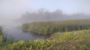 Туман на реке Савала.Река Воронежской области