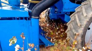 Хлопкоуборочная машина ХМП 1,8 в поле