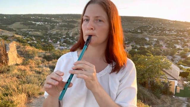 My Neighbour Totoro | tin whistle on the mountain смотреть онлайн