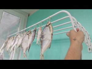 Как правильно солить и сушить рыбу