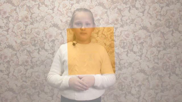 Интересные факты о кошках!
