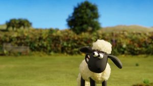 Wanted | Shaun the Sheep Season 5 | Full Episode