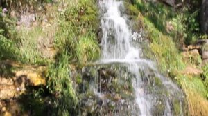 Тверская область, Торжокский район, д. ПанИка, водопад, 27 июля 2019 года