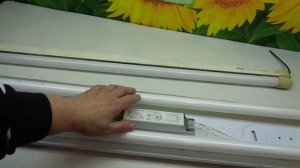 КАК ВЫБРАТЬ ЛАМПЫ ДЛЯ ПОДСВЕТКИ РАССАДЫ.Ольга Чернова.