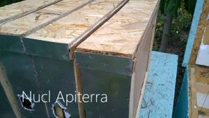 Нуклеусный парк из нуклеусов на одну рамку 300 мм Дадан