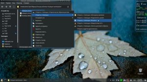 73 Еще один способ создания загрузочной флешки с Linux для UEFI компьютеров (исправлено)