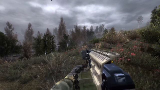 S.T.A.L.K.E.R. Radiophobia 3 Version 1.12 Weapon Showcase смотреть онлайн