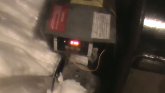 Общая кремация кошки смотреть онлайн