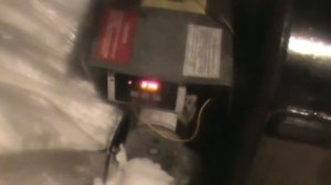 Общая кремация кошки