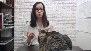 Какую программу для поиска тендеров выбрать? Селдон, Контур.закупки, Тендерплан, Сбис, Тендервин?