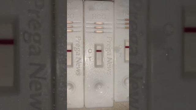 Line Progression Pregnancy Test Dpo