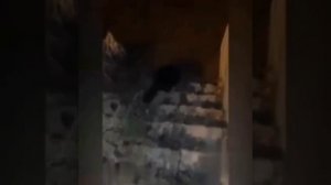 Польский Зоопарк