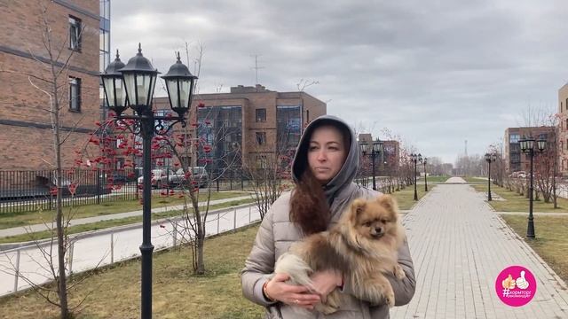 Натуралка. Питание собак и кошек по возрастам, так же беременные и кастраты. Рецепты в видео.