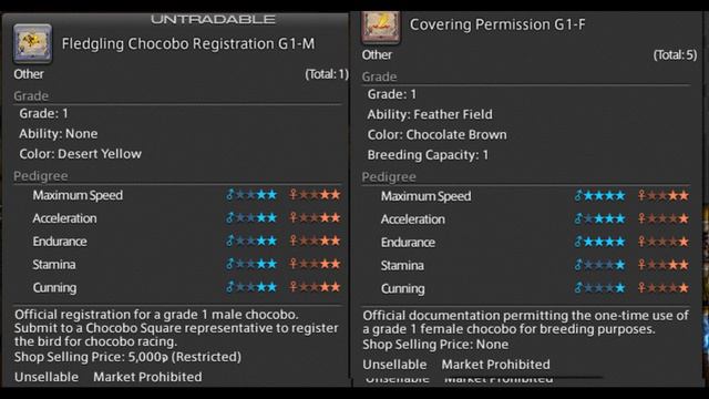 Идеальный Гоночный чокобо – Final Fantasy XIV  – Chocobo Racing  Guide
