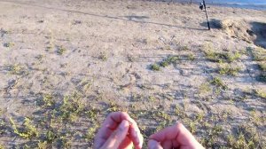 Как быстро собрать донную оснастку на берегу. Макушатник с быстросъёмной клипсой.