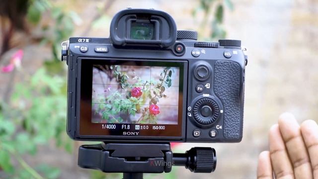 Master Manual Mode | How to use manual mode in camera | Manual mode photography tricks смотреть онлайн