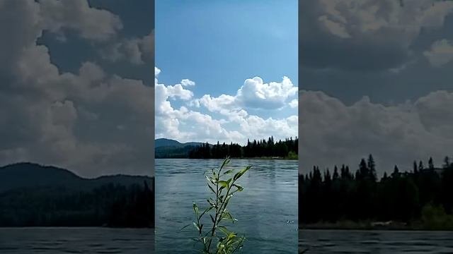 Казыр