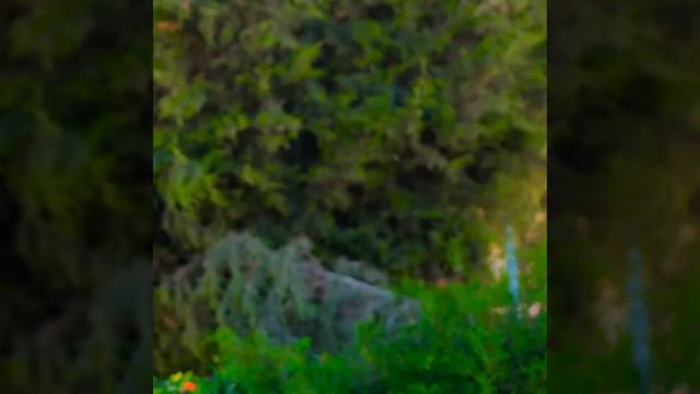 НЕВЕРОЯТНЫЕ ЛАЙФХАКИ И СОВЕТЫ ДЛЯ НОГ И ОБУВИ смотреть онлайн