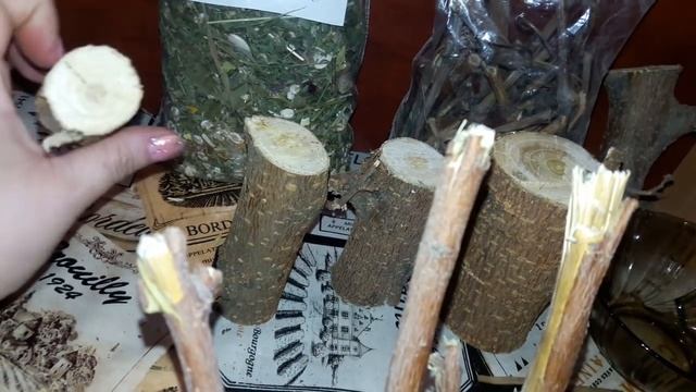 Погрызушки для Шиншилл! Кора деревьев, как Важный ингридиент рациона питания Шиншилл!