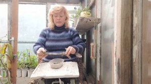 Что такое микориза? Как, добыть микоризиум?