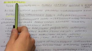 Билет 038. ТРОЙНИЧНЫЙ НЕРВ. ЯДРА. ТОПОГРАФИЯ ПЕРВОЙ И ВТОРОЙ ВЕТВЕЙ, ОБЛАСТИ ИННЕРВАЦИИ.