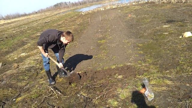 Сажаю морковку на семена смотреть онлайн