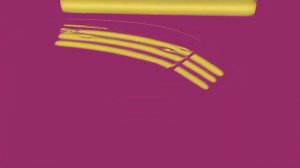 Восстановление кузова после ГРАДА без покраски!