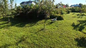 Люблю получать подарки Псков