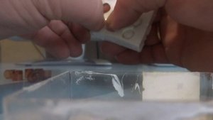 Силиконовая матрица для отливки восковых мисочек системы Никот своими руками)))