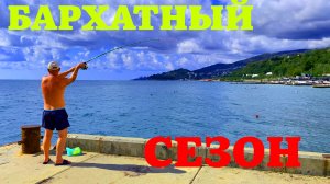 АДЛЕР СЕЙЧАС | БАРХАТНЫЙ СЕЗОН | КУДЕПСТА | СЪЕМКА ПОД ВОДОЙ | СЕНТЯБРЬ