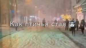 снег летит как птичья стая🥀