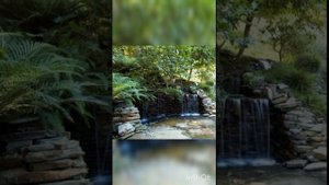 Декоративный пруд, водопад.____Decorative pond, waterfall.