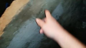 Европейский сом.Выращивание европейского сома в узв .Начало эксперимента 19.10.19.