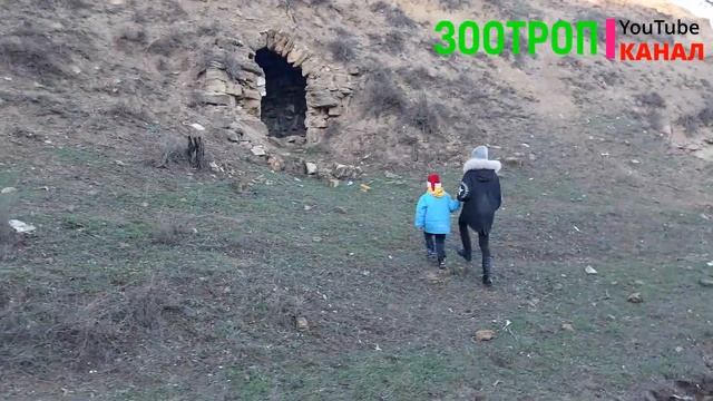 Куяльник капище. Одесса сегодня. Прогулка по Одессе. Курорт Куяльник. Отдых семьей. #зоотроп смотреть онлайн