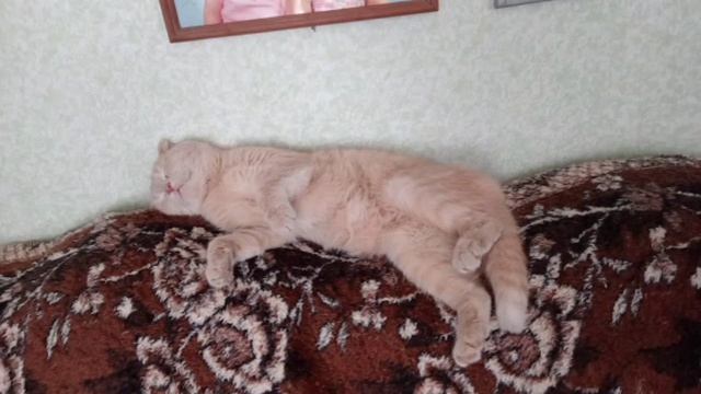 эй ребятишки