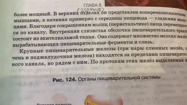 Биология 8 кл/М.Б.Жемчугова/Тема 35: Питание и пищеварение.Строение и функции пищ.системы/22.01.23 смотреть онлайн
