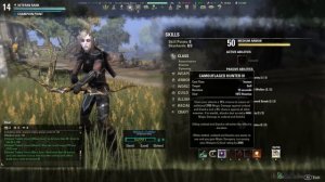 Nightblade Assassin's Might 2.0 Improved 2h Bow Vampire PvP Build - ESO Elder Scrolls Online