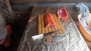 ПОСОЛ КРАСНОЙ РЫБЫ// ЧАВЫЧА, КИТА, ГОРБУША И Т.Д./