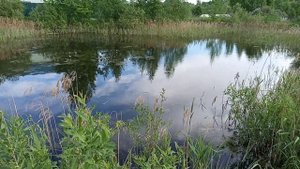 Телищево деревня Ярославля СНТ Дача Заброшенная или нет Ярославской области Липовая гора Фрунзенски