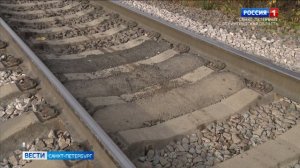Жители Мурино просят благоустроить народную тропу