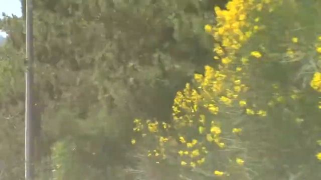 Дорога с Ялты в Севастополь. Кастрополь, Крым 2019 смотреть онлайн