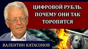 Античеловеческий закон. План Ротшильдов. Антихрист и последние времена / Валентин Катасонов