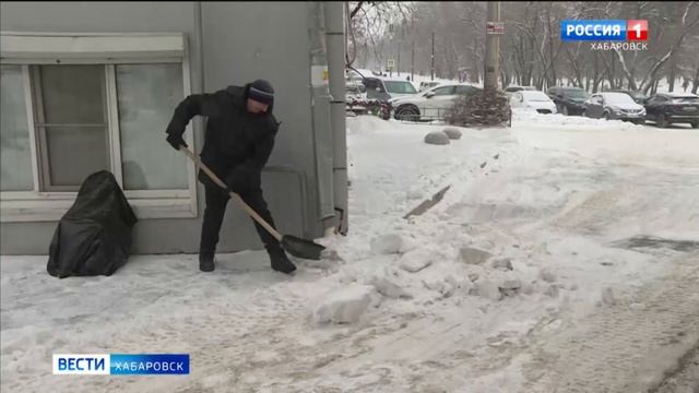 За аномально тёплым декабрём придёт холодный январь смотреть онлайн