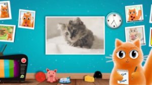 Умная ли у вас кошка? Тест с прикольным котом Джемом! ?