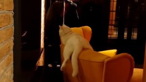 Тарасова К.А. - Школьное сочинение на тему: "Как я провел зимние каникулы"