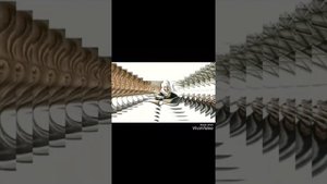 Дина Нурпеисова видеопрезентация. Қуан Асылжан.